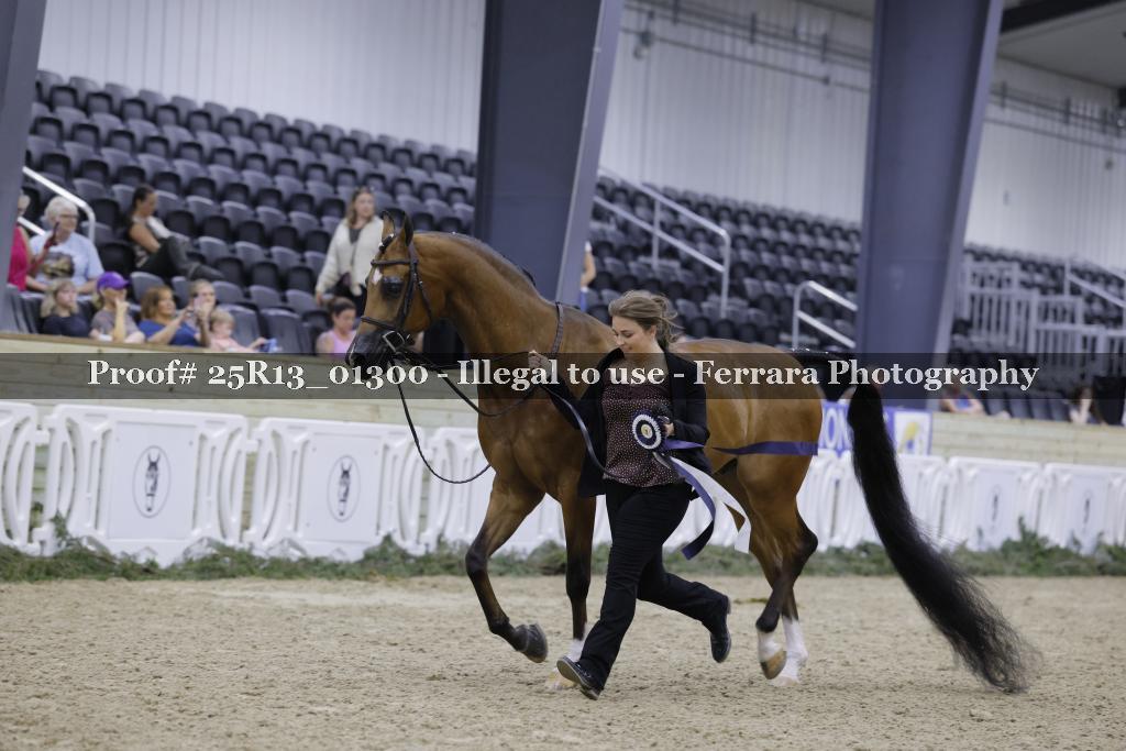 Proof Number 25R13_01300