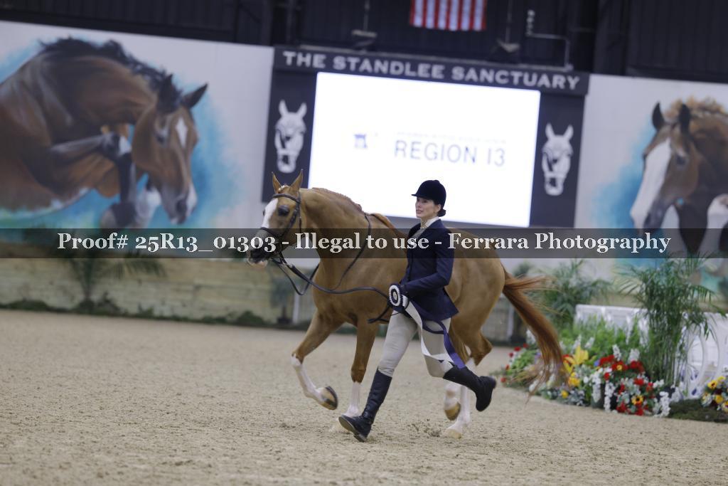 Proof Number 25R13_01303