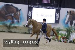 25R13_01303 thumbnail