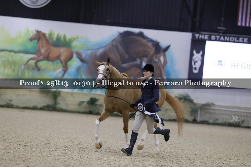 Proof Number 25R13_01304