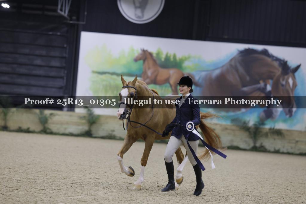 Proof Number 25R13_01305