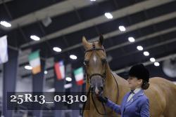 25R13_01310 thumbnail