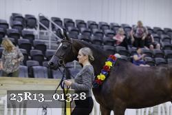 25R13_01328 thumbnail