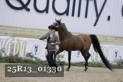 25R13_01330 thumbnail