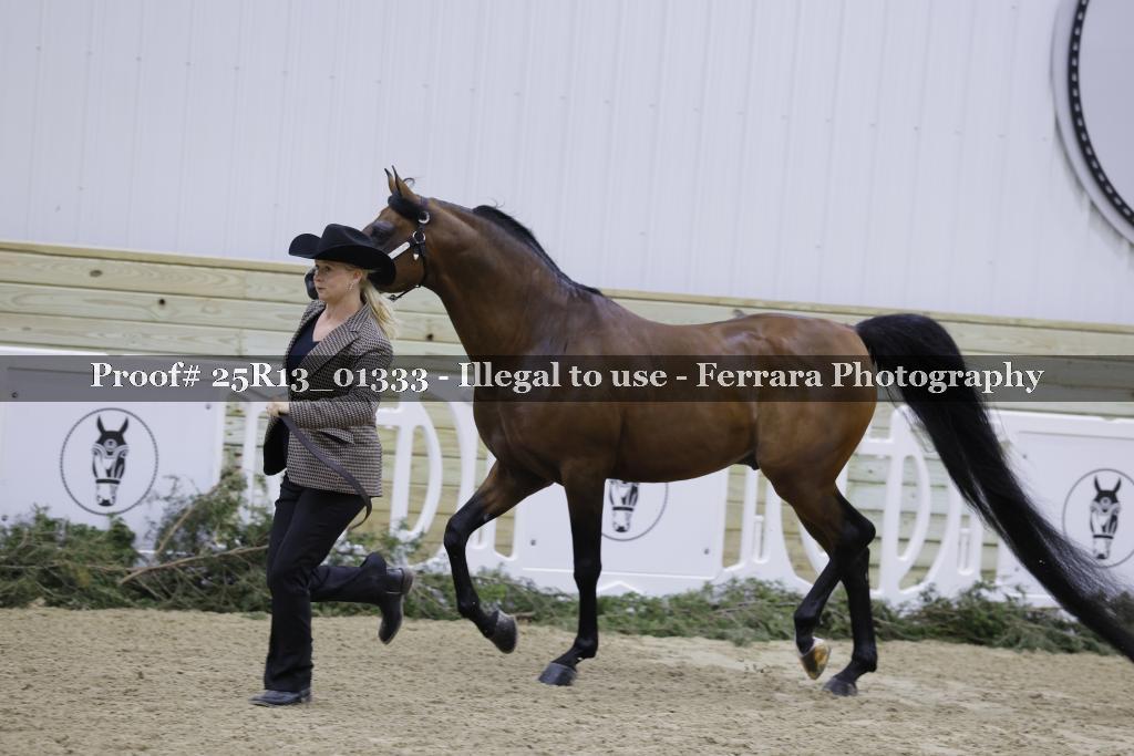 Proof Number 25R13_01333