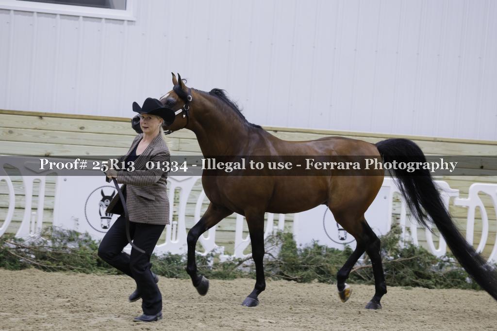 Proof Number 25R13_01334