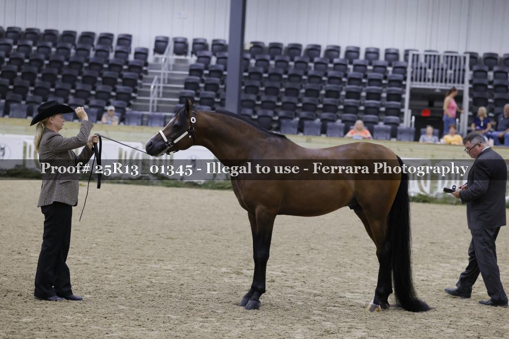 Proof Number 25R13_01345