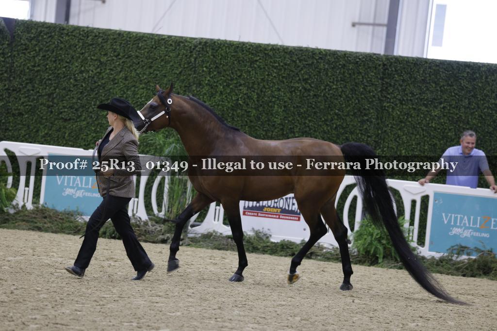 Proof Number 25R13_01349