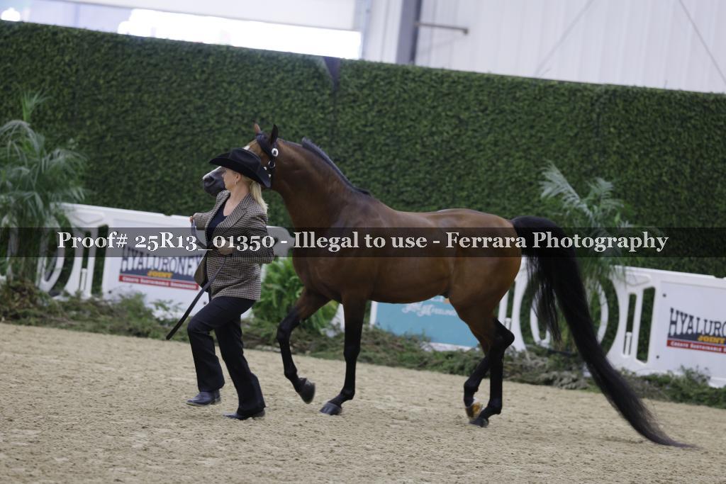 Proof Number 25R13_01350