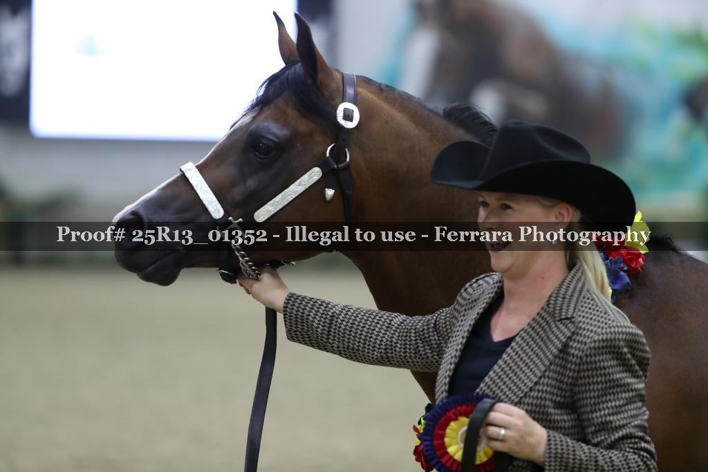 Proof Number 25R13_01352