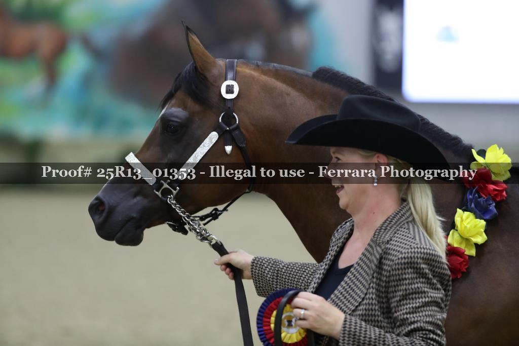 Proof Number 25R13_01353