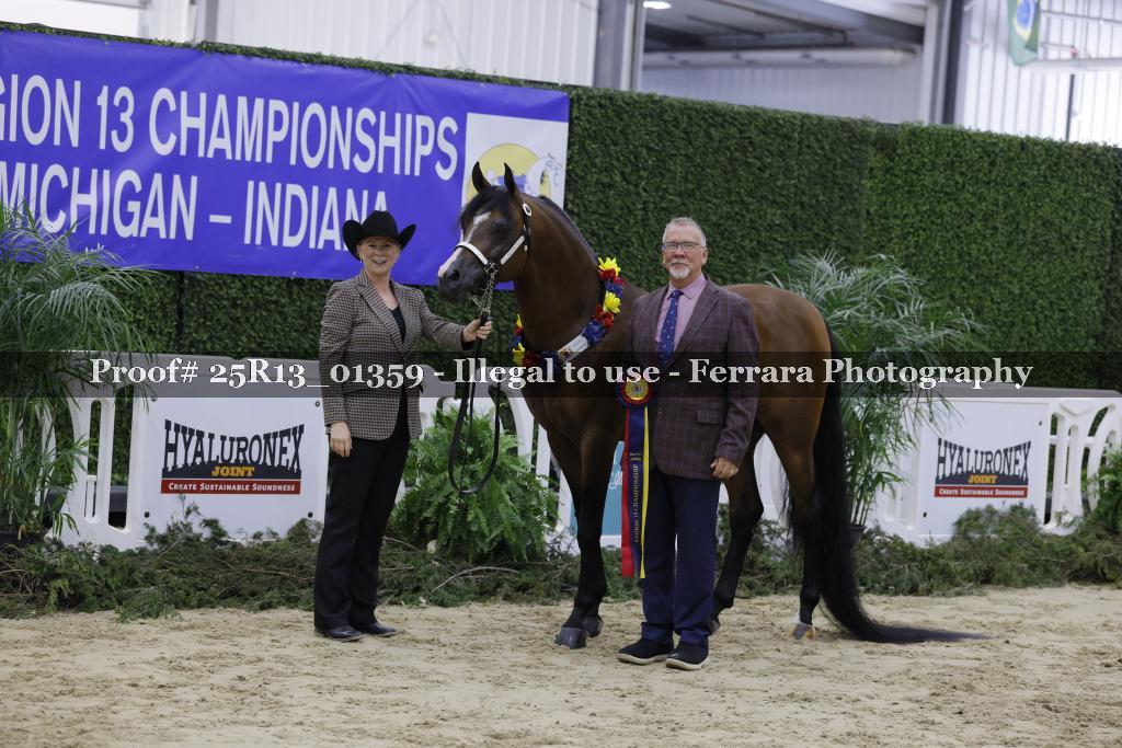 Proof Number 25R13_01359