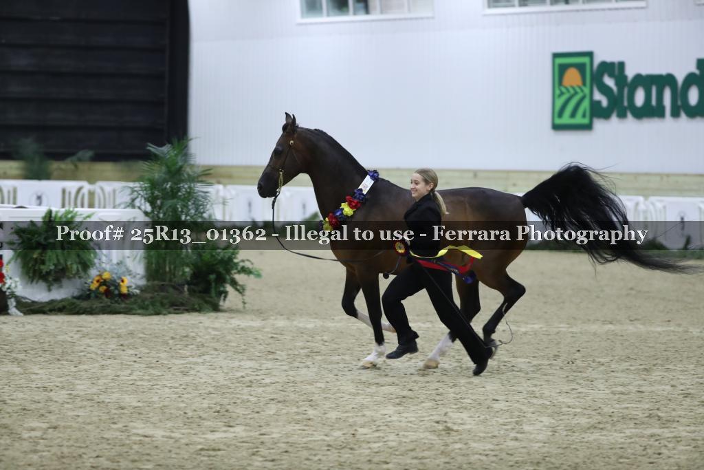 Proof Number 25R13_01362