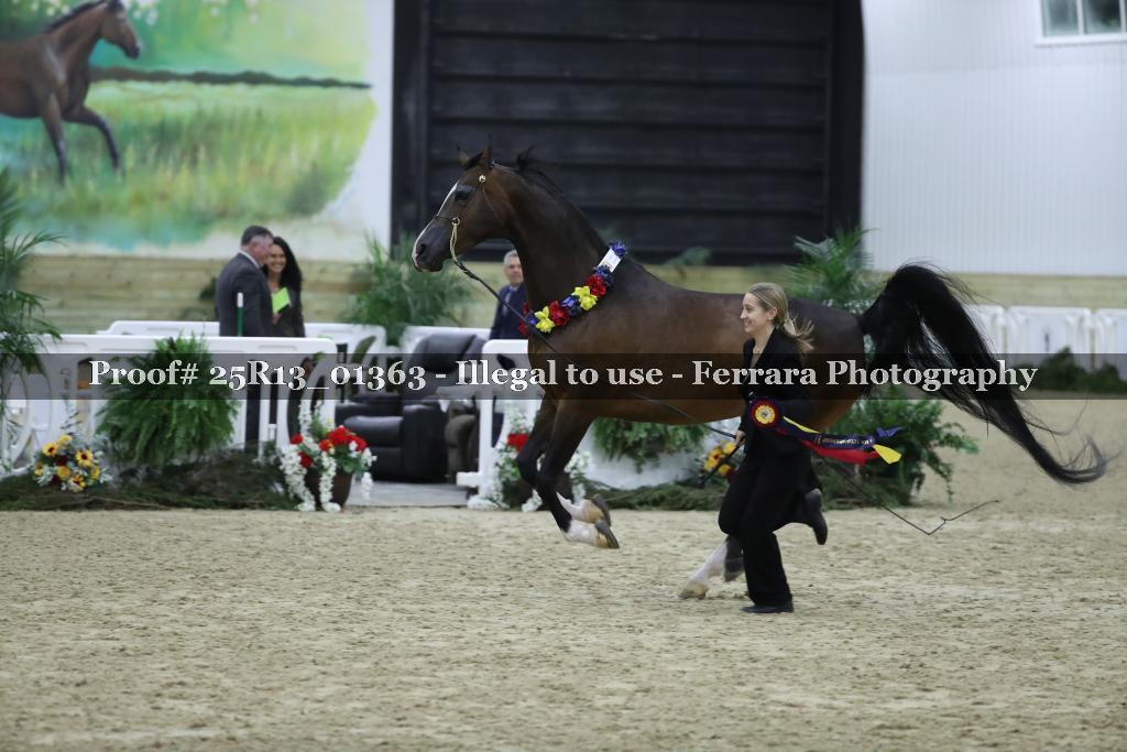 Proof Number 25R13_01363
