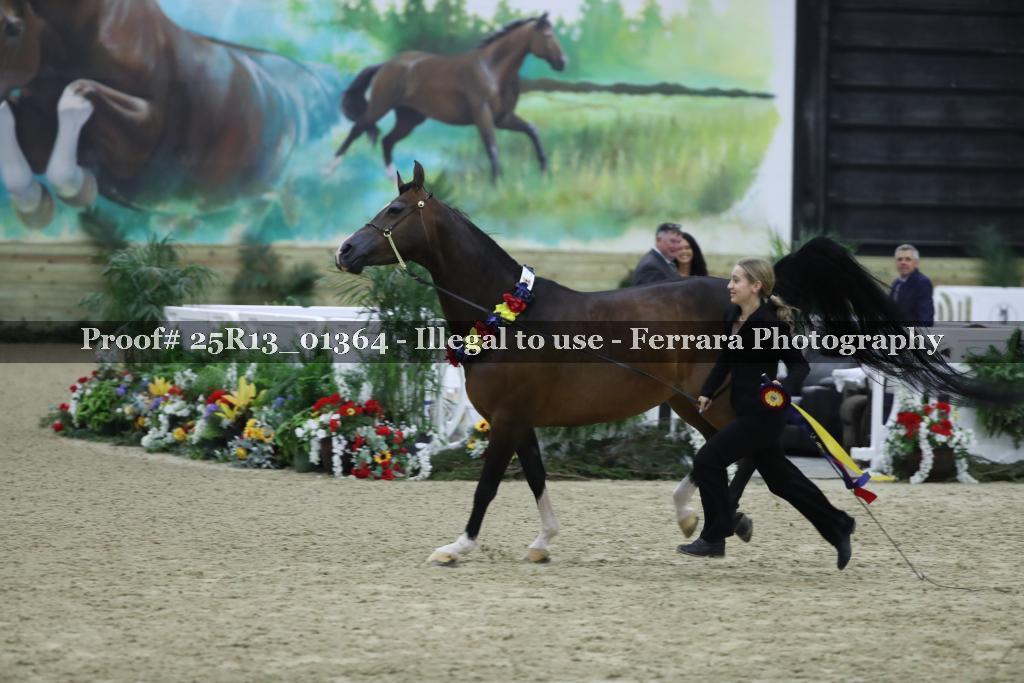Proof Number 25R13_01364