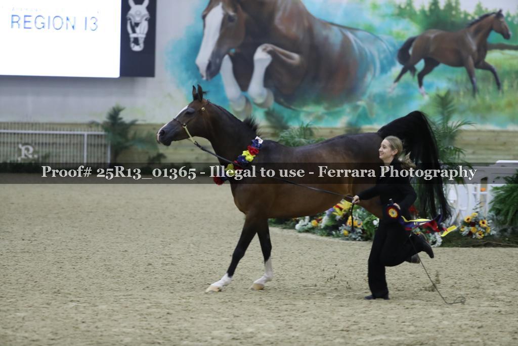 Proof Number 25R13_01365
