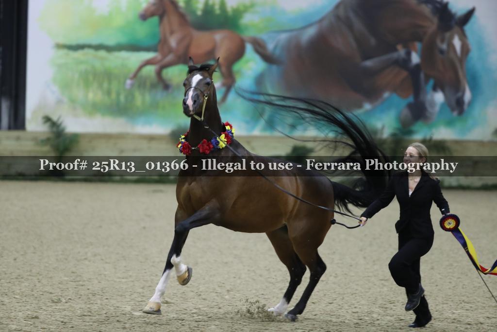 Proof Number 25R13_01366