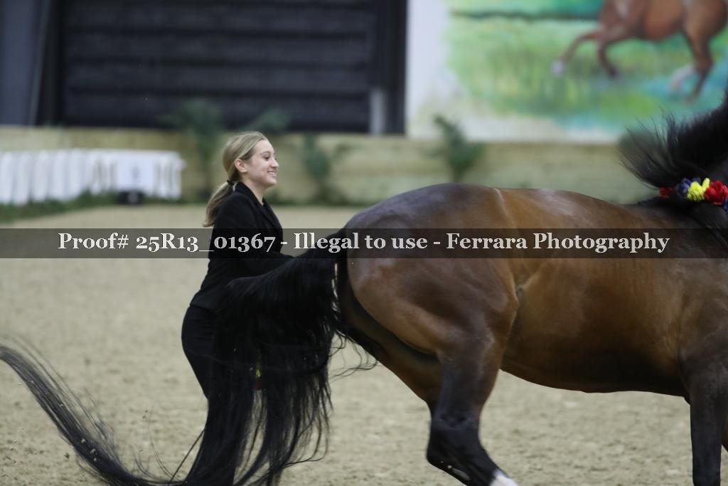 Proof Number 25R13_01367