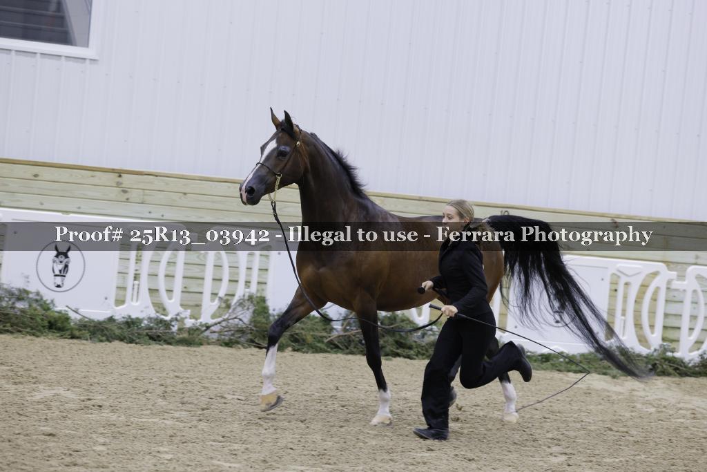 Proof Number 25R13_03942