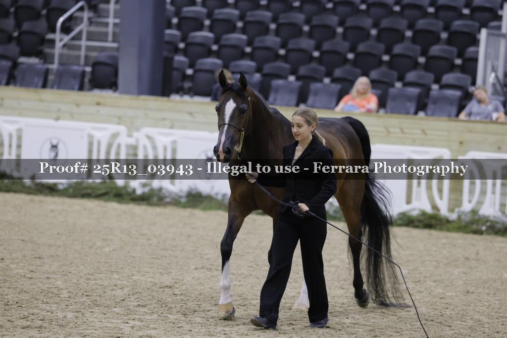 Proof Number 25R13_03943