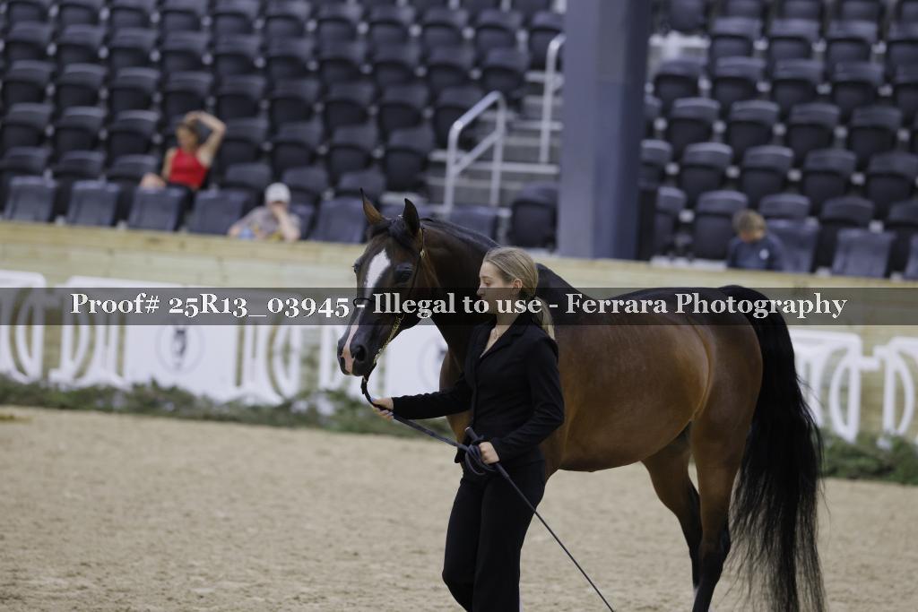 Proof Number 25R13_03945
