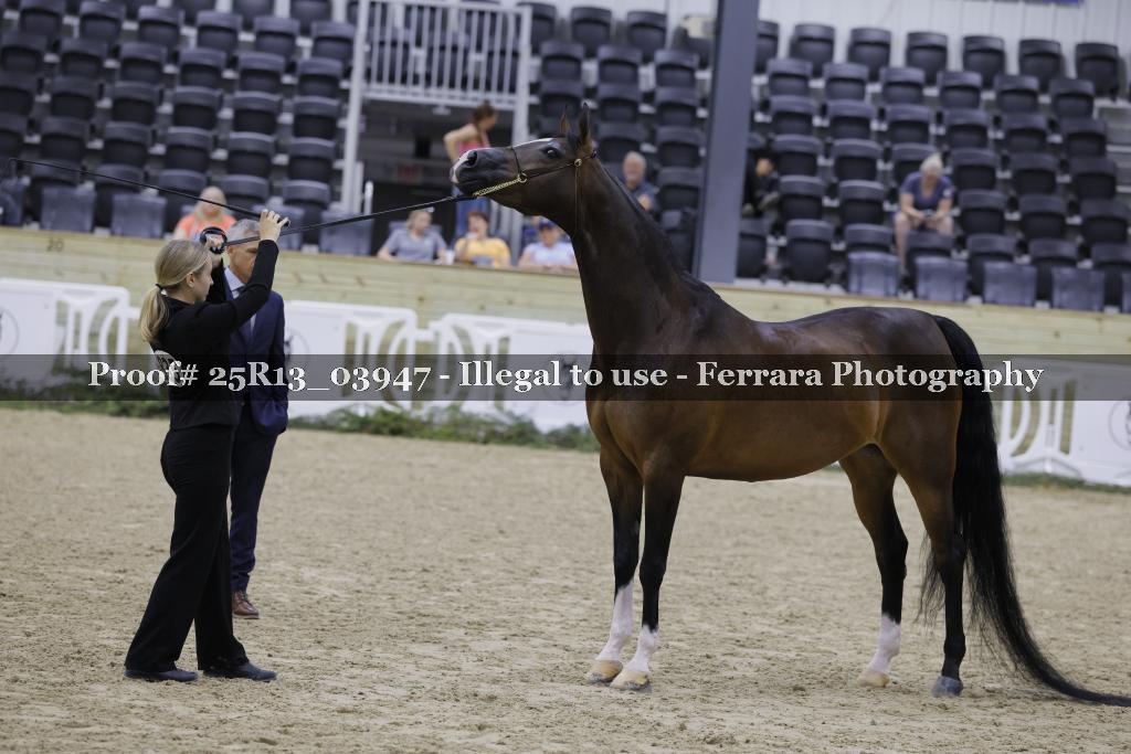 Proof Number 25R13_03947