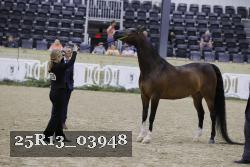 25R13_03948 thumbnail