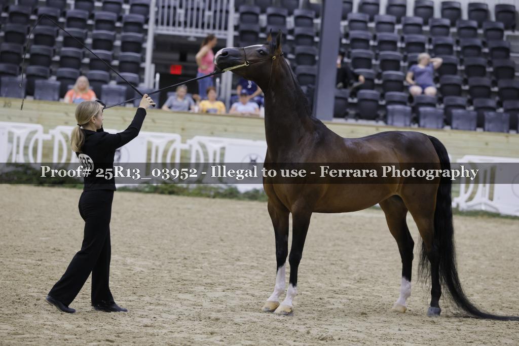 Proof Number 25R13_03952