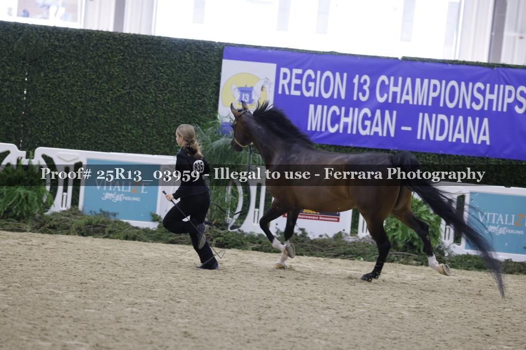Proof Number 25R13_03959