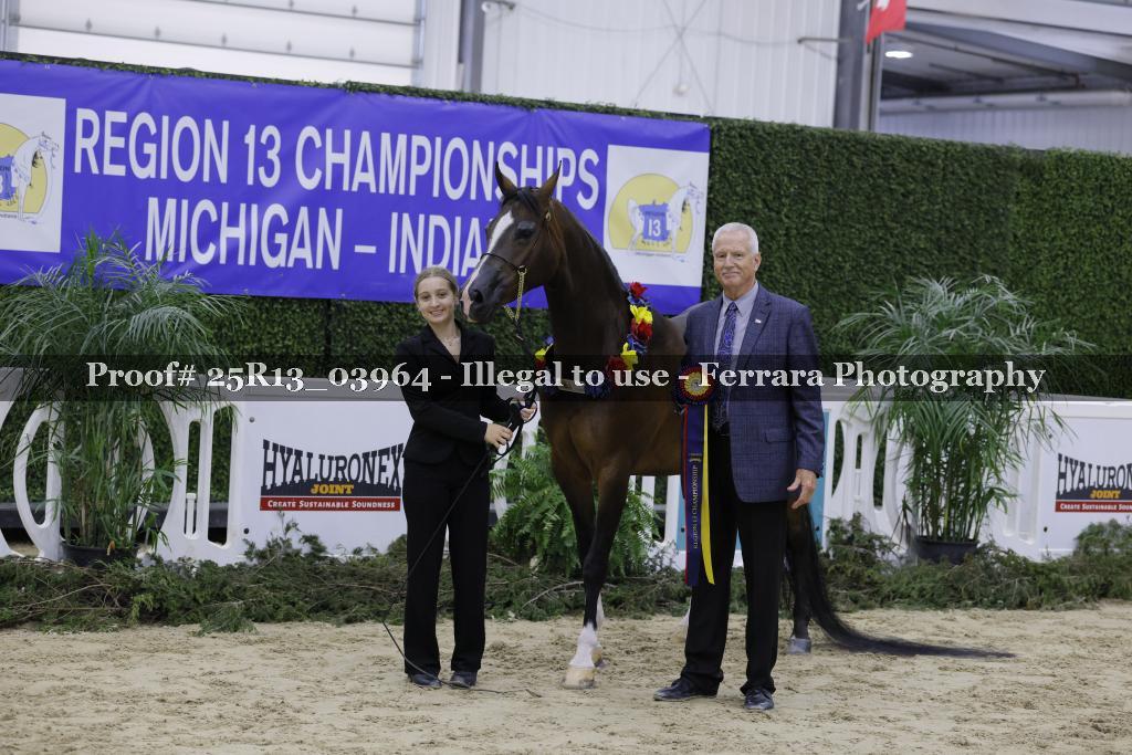 Proof Number 25R13_03964