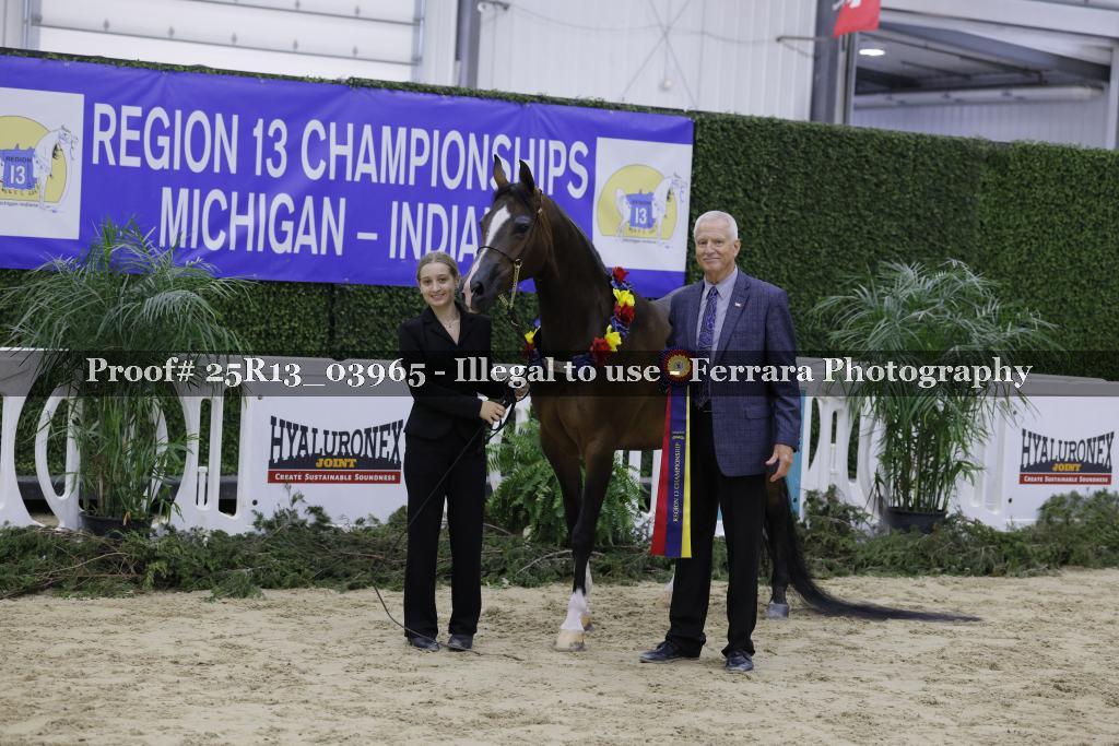 Proof Number 25R13_03965