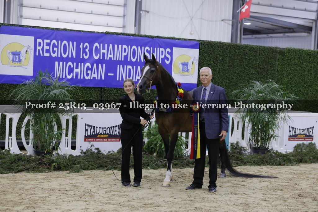 Proof Number 25R13_03967