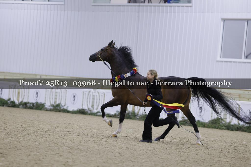 Proof Number 25R13_03968
