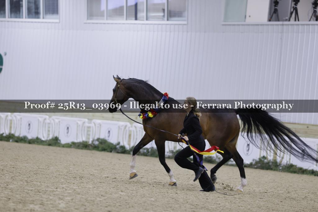 Proof Number 25R13_03969