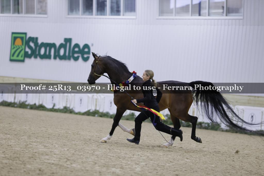 Proof Number 25R13_03970