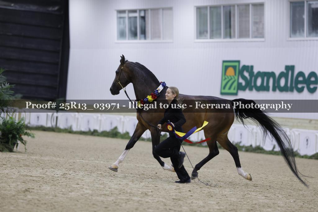 Proof Number 25R13_03971