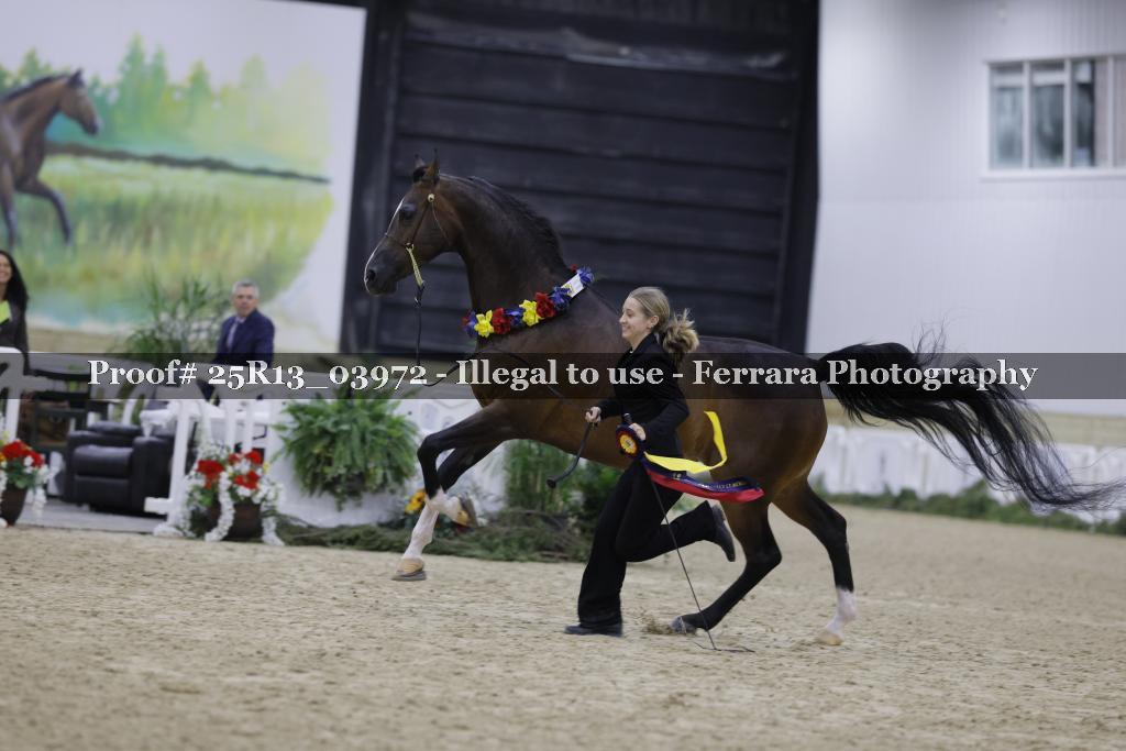 Proof Number 25R13_03972