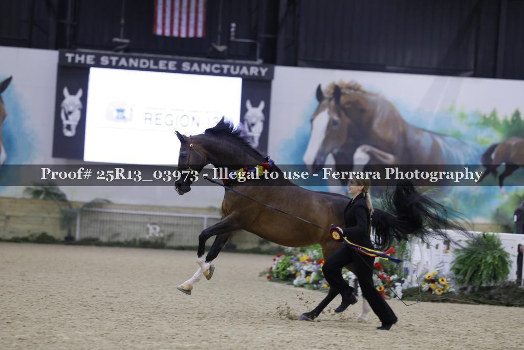 Proof Number 25R13_03973