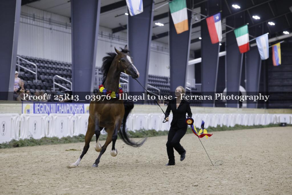 Proof Number 25R13_03976
