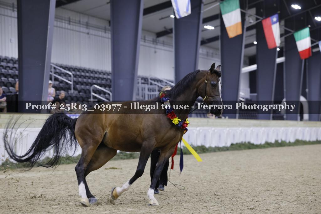 Proof Number 25R13_03977