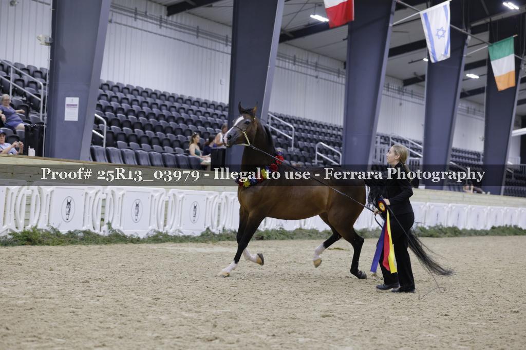 Proof Number 25R13_03979