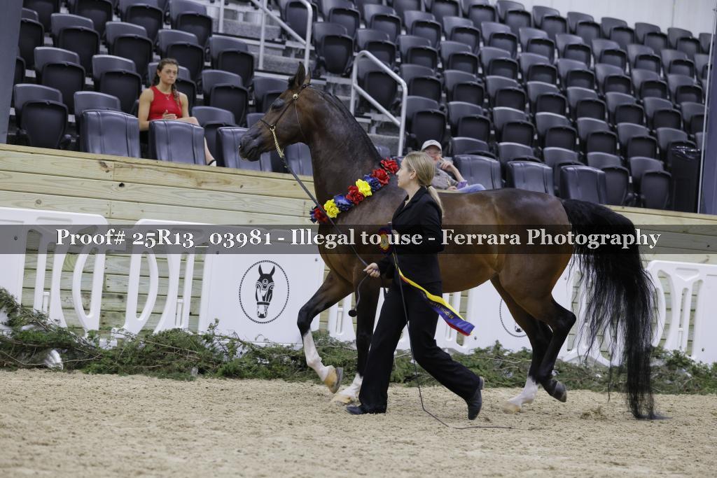 Proof Number 25R13_03981