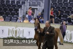 25R13_01369 thumbnail