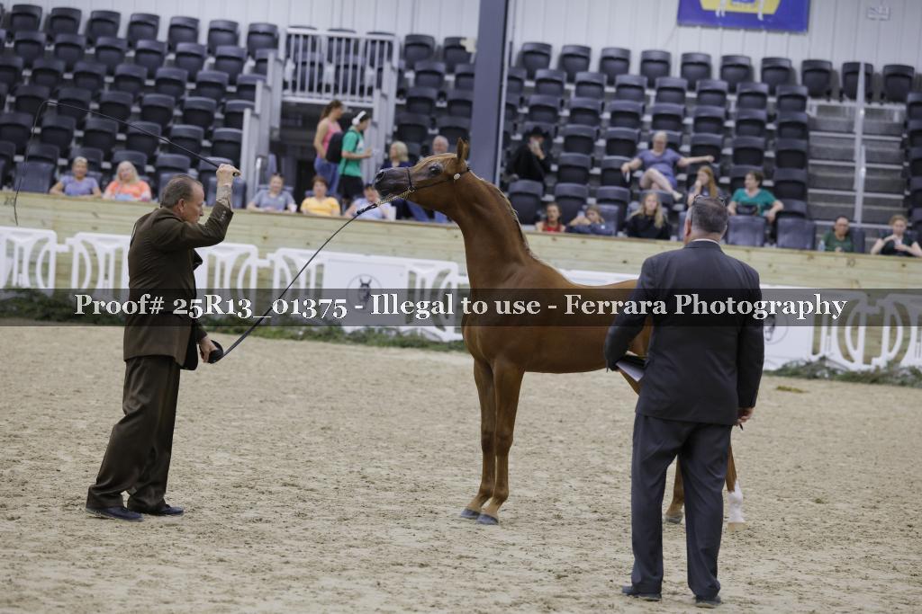 Proof Number 25R13_01375