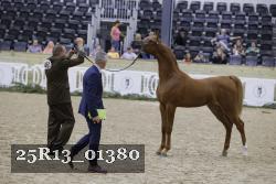 25R13_01380 thumbnail
