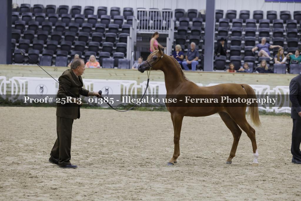 Proof Number 25R13_01385