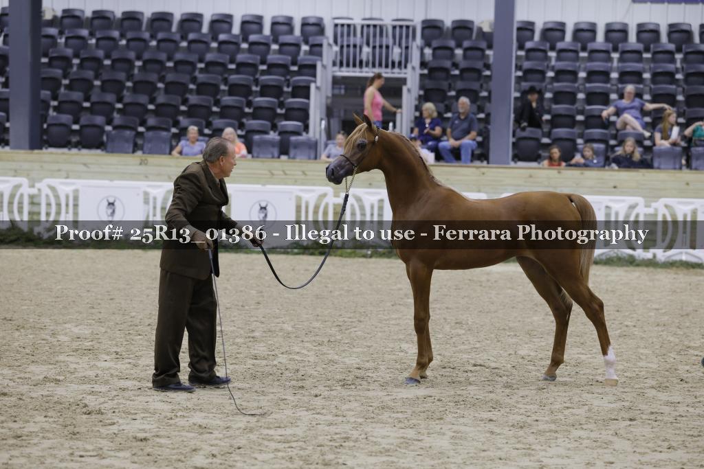Proof Number 25R13_01386