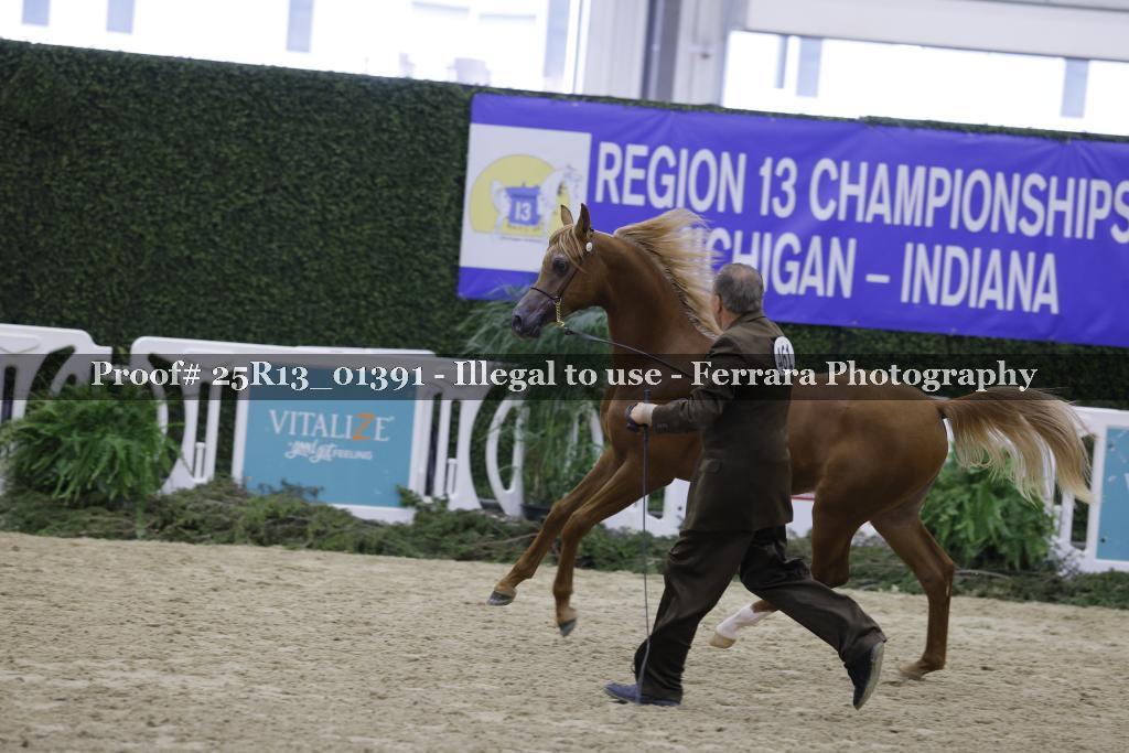 Proof Number 25R13_01391