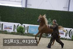 25R13_01392 thumbnail