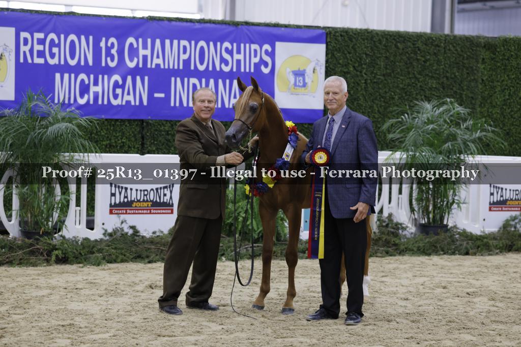 Proof Number 25R13_01397